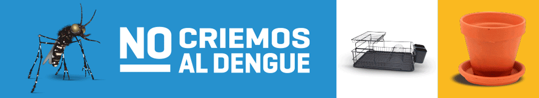 Combatamos al dengue